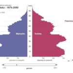 Demograficzne Tsunami
